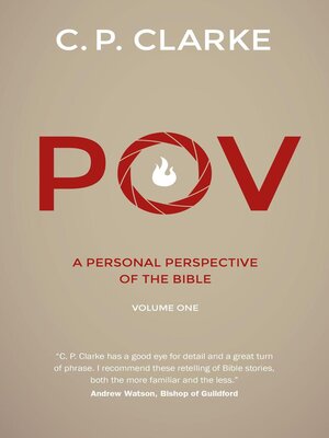cover image of POV